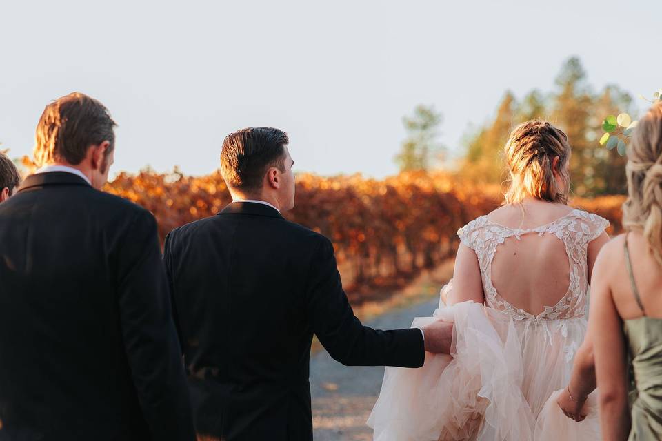 Vineyard Walk