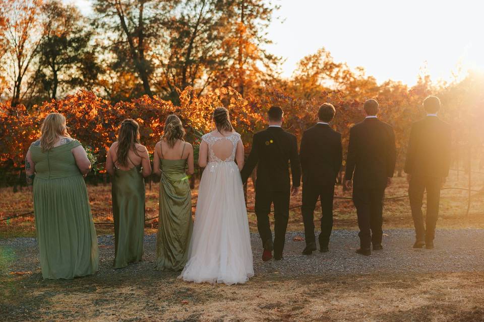 Vineyard Wedding Party