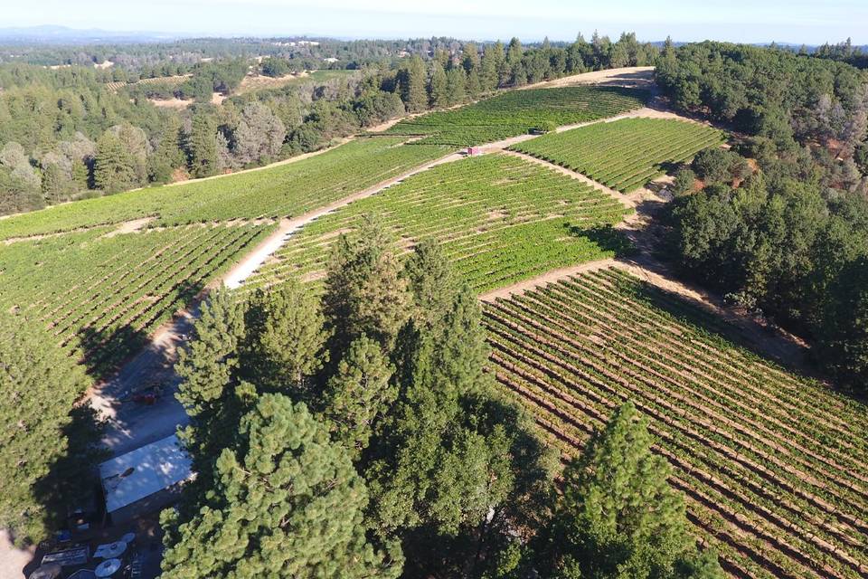 Ariel View of Winery