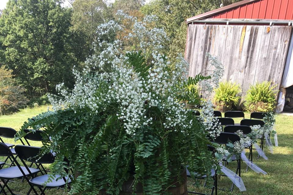 Fern with Baby's Breath