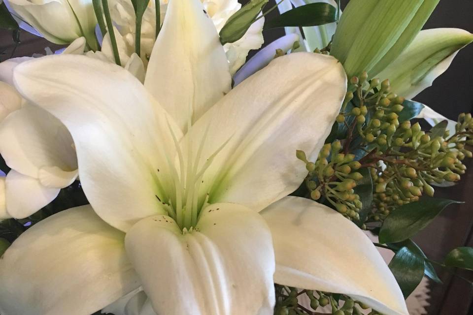 White Lily