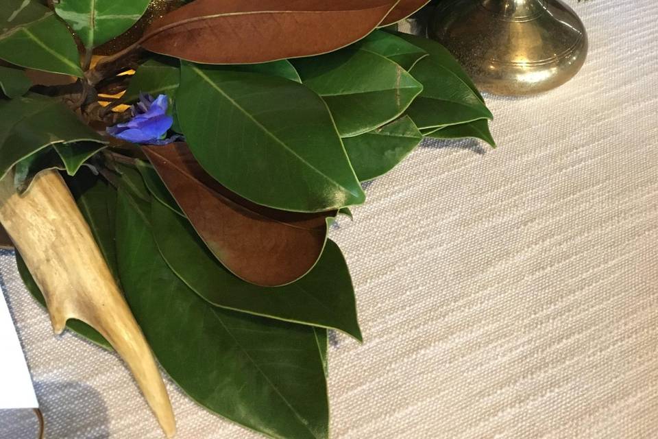 Magnolia leaves