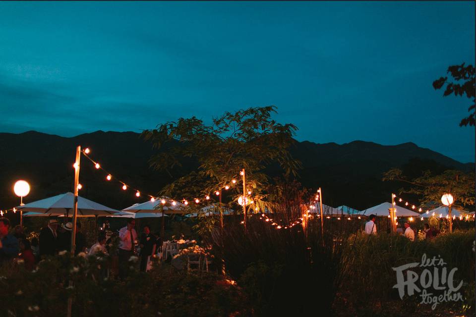 Outdoor reception venue