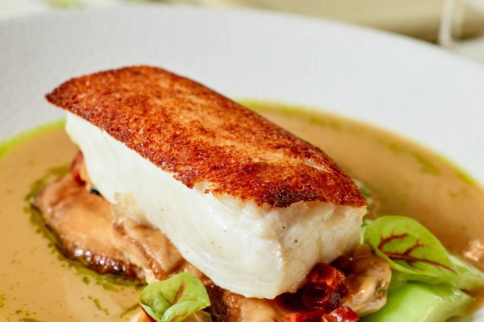 Halibut