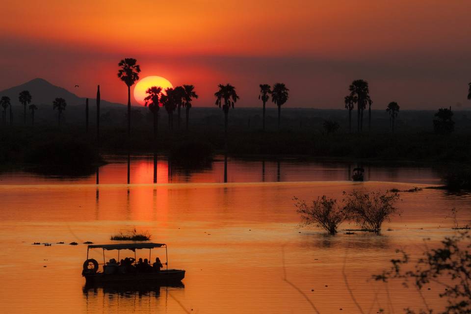 Boat safari sunset