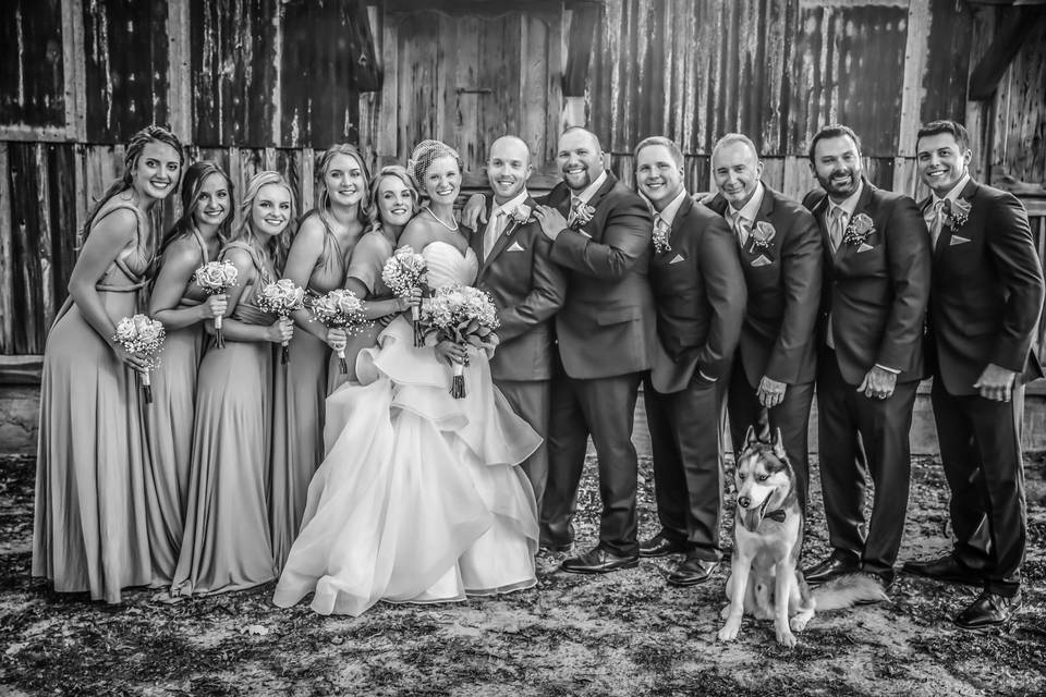 Large Bridal Parties