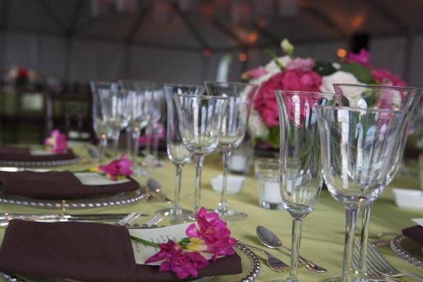 Wine glasses