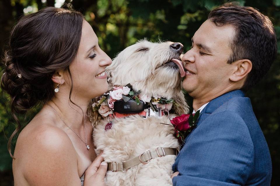 Dogs are family too