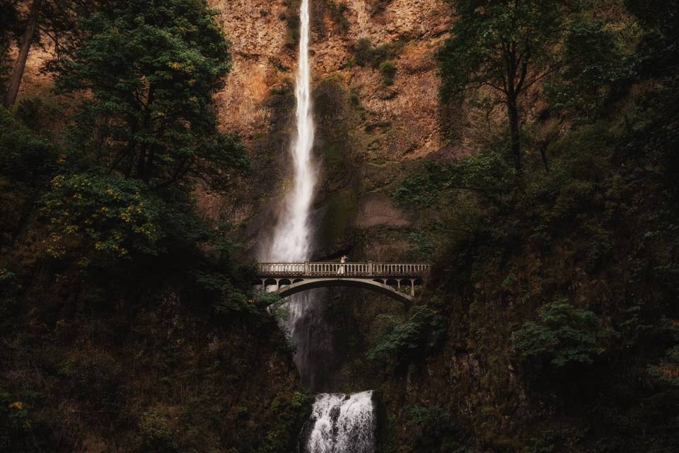 Multnomah Falls Wedding