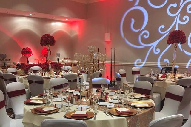 Elegant chair covers