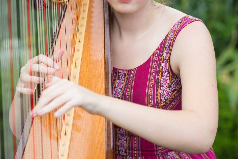 Harpist at Duke Gardens