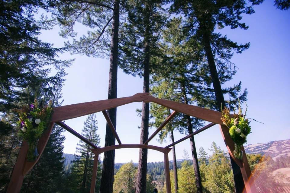 Arch by the trees
