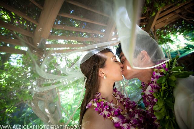Albiola Photography and Videography
