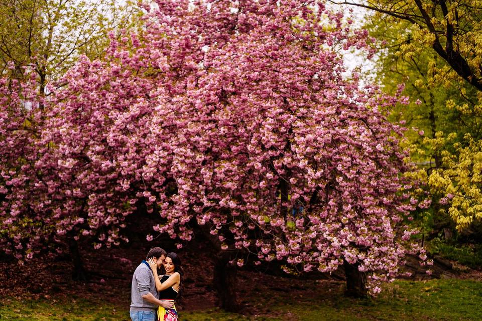 Central Park Engagement