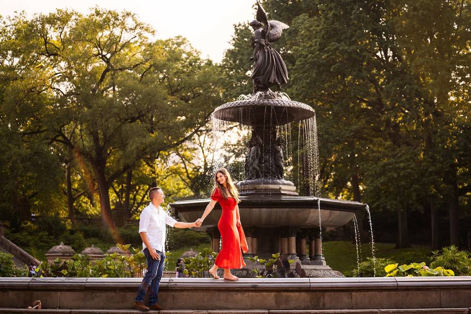 Central Park Engagement