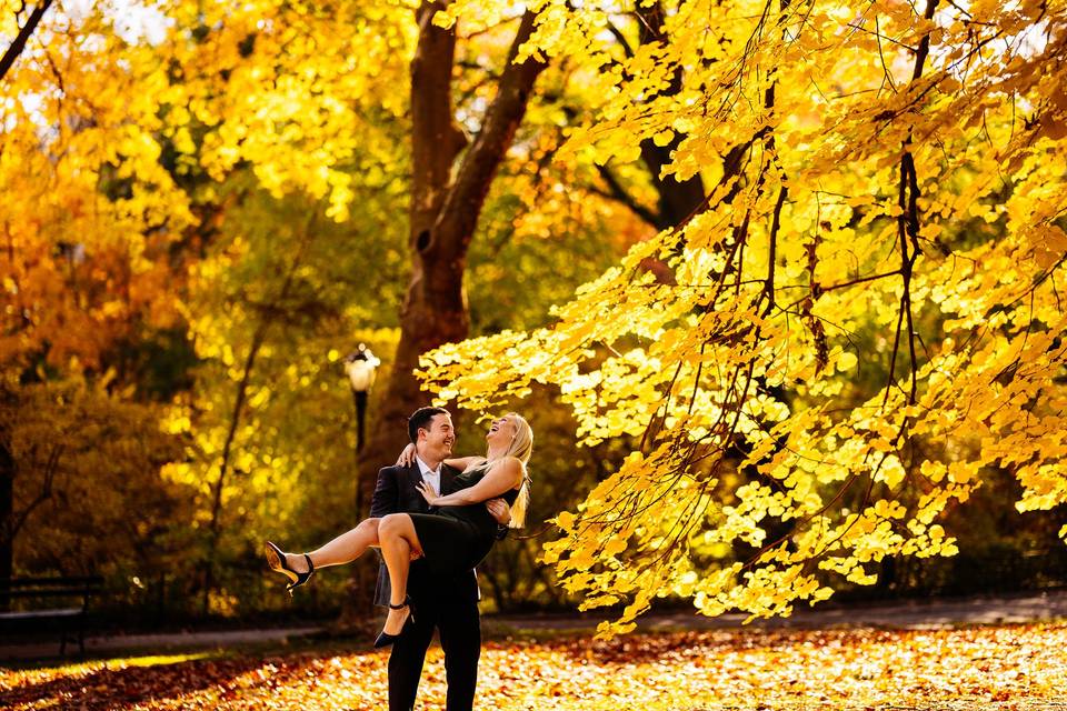 Central Park Engagement