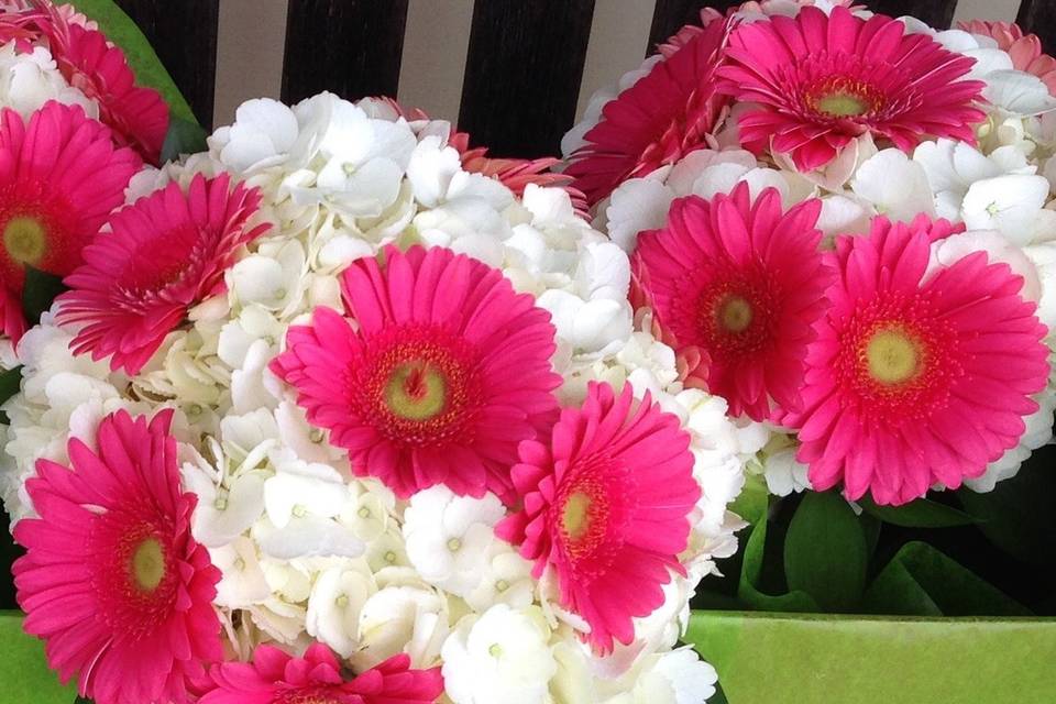 Gerbera daisies and hydrangea