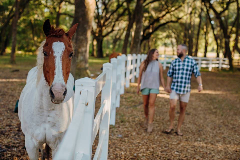 Engagement Shoot