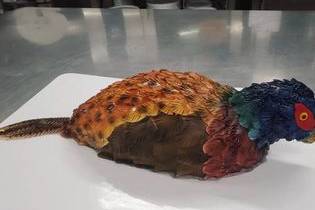 Pheasant cake