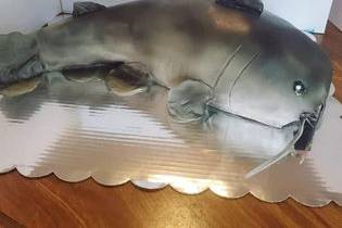 3D cat fish