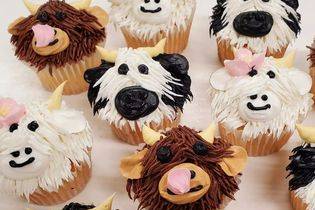 Cow cupcakes