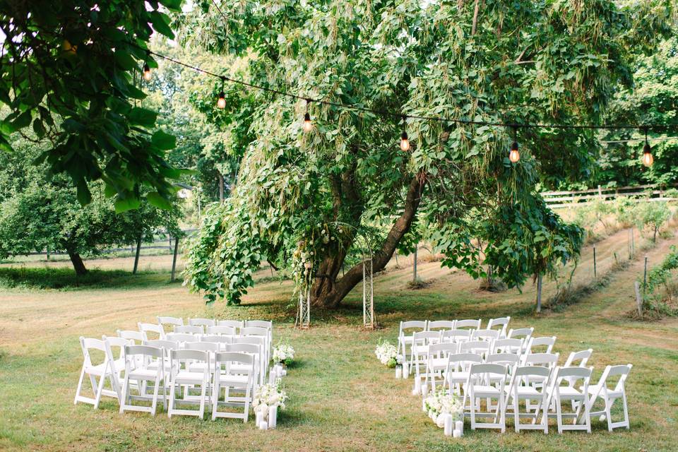Stablegate Vineyard Ceremony