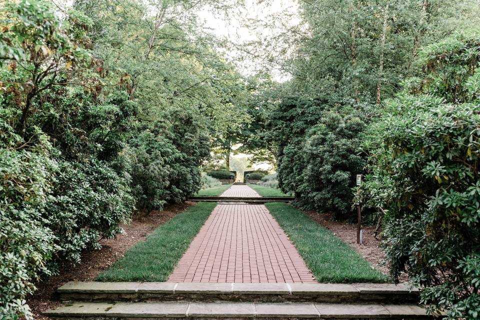 Aisle to the formal garden