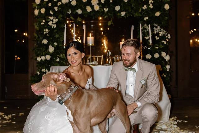 Beautiful wedding couple