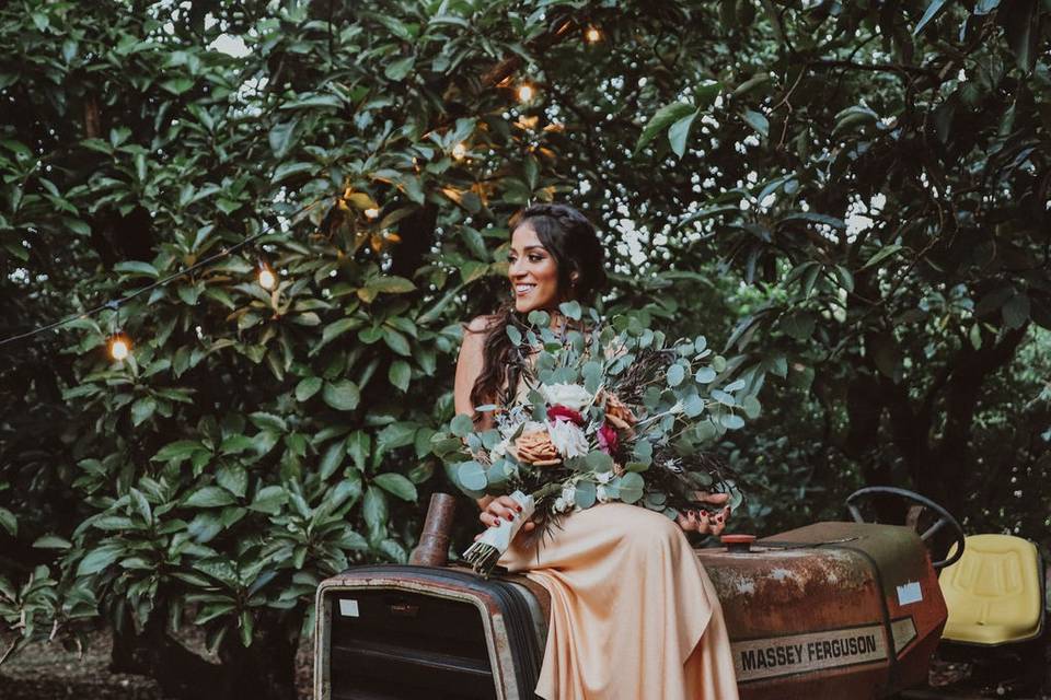 Old Tractor | Steph Barboza