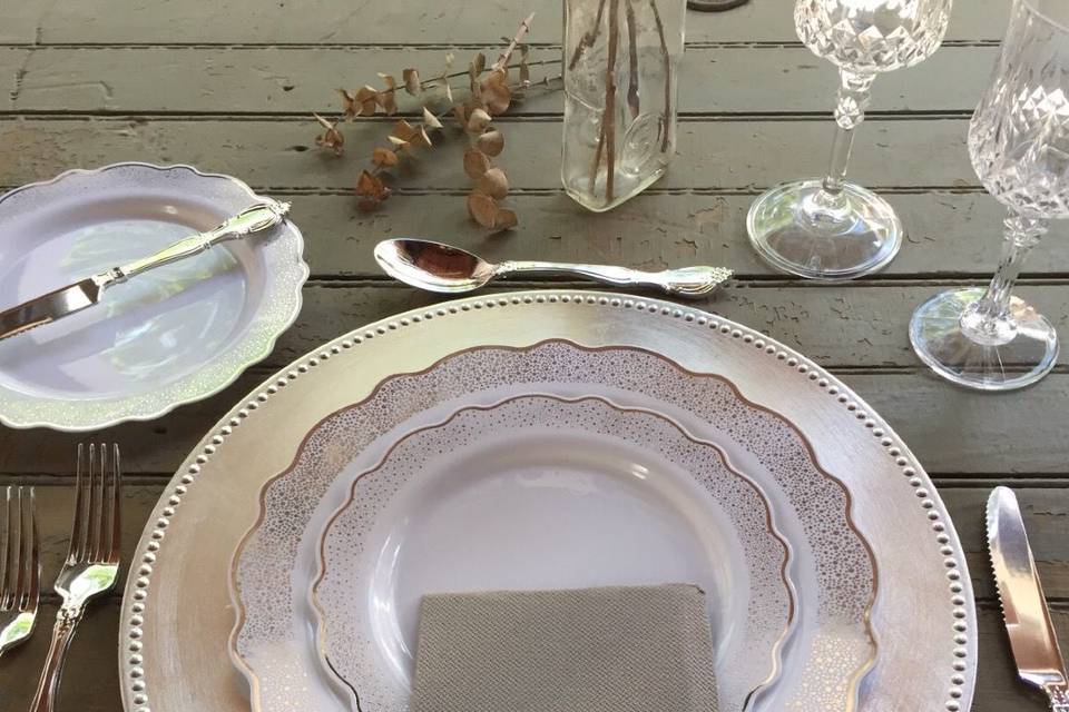 Can you believe that is all plastic dinnerware!  That's right, all of it is disposable! Perfect for your big day whether it's DIY or professionally catered!