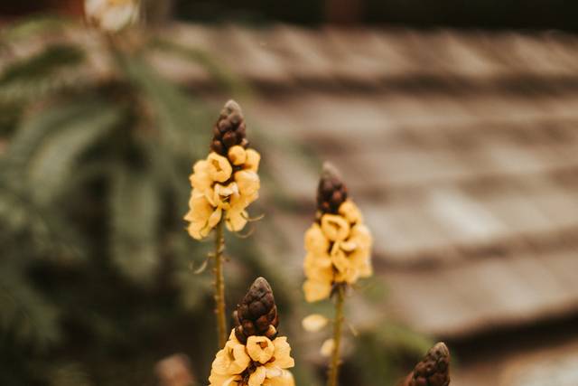 Rustic florals