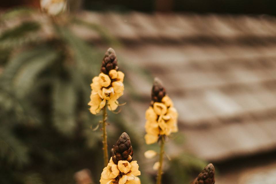 Rustic florals