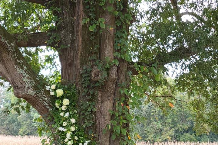 Tree Florals