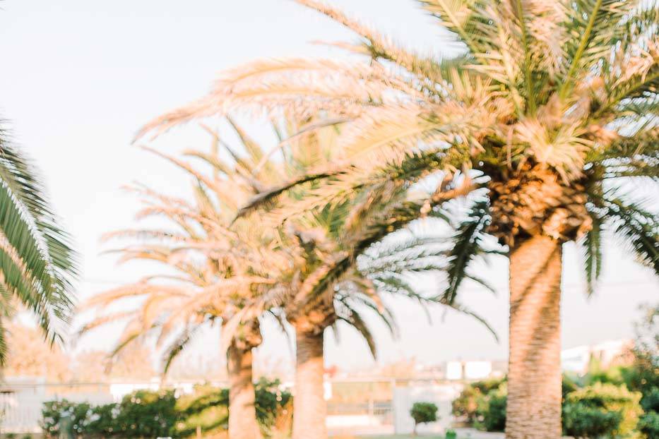 Rebecca & Thomas in Creta