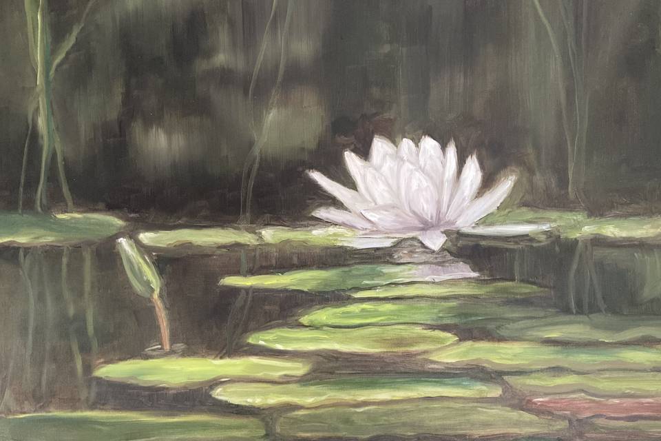 Water lily 2