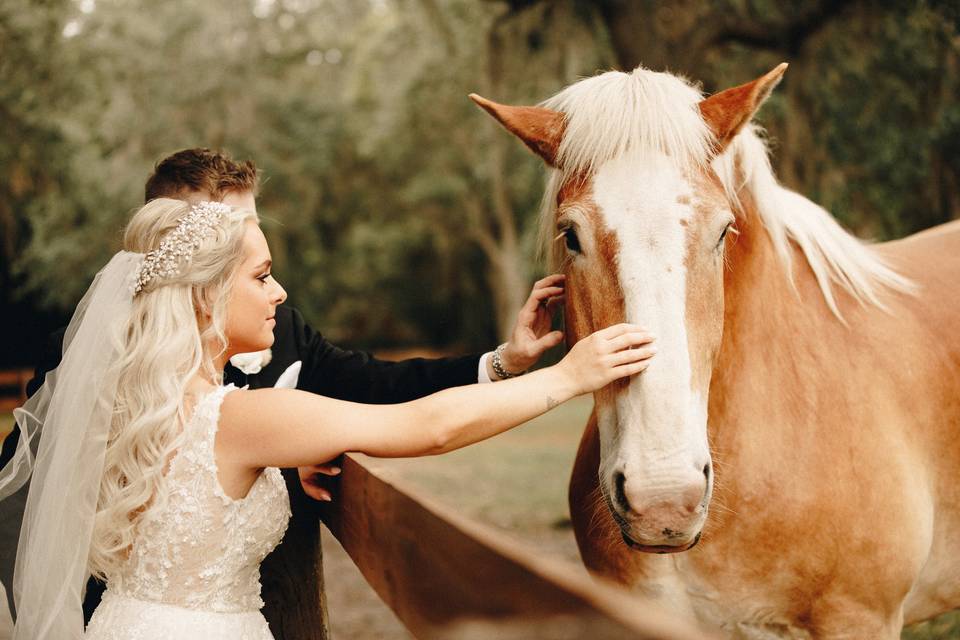 Couple Portraits with Horse