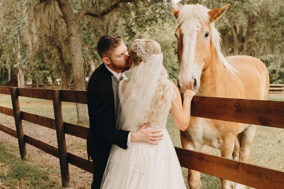 Couple Portraits with Horse