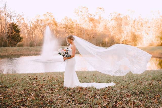 Veil Shot
