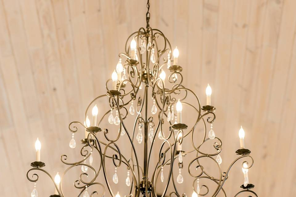 Elegant chandelier