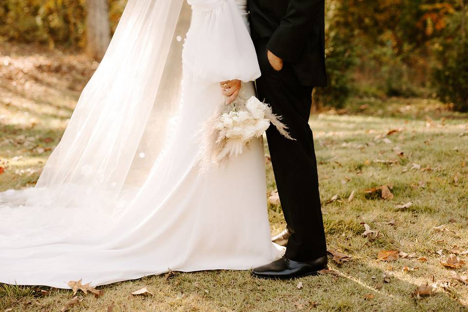 Fall leaves backdrop