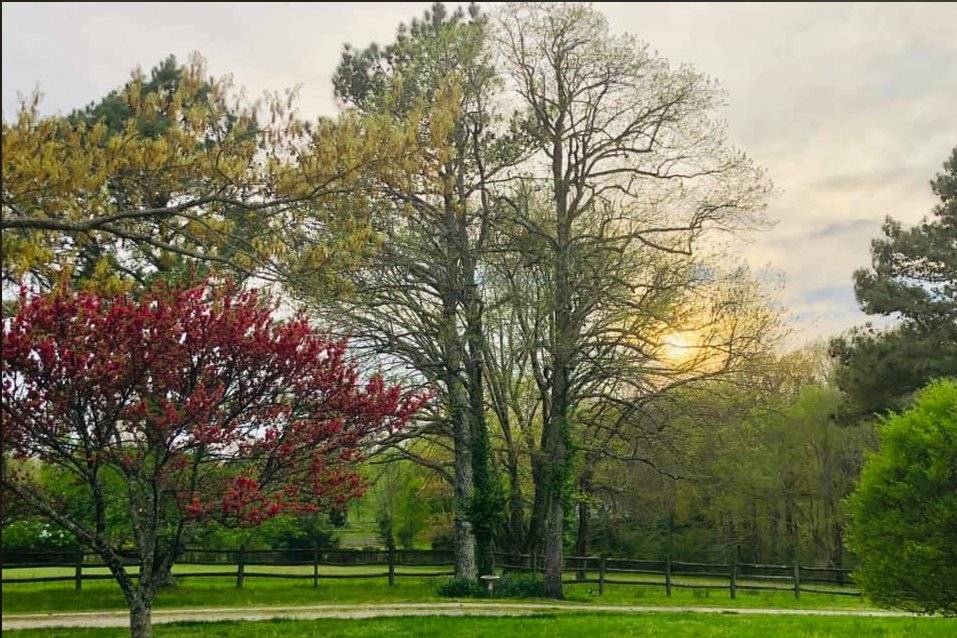 Spring on WindSong Farm