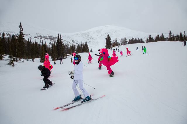 Flamingo ski wedding
