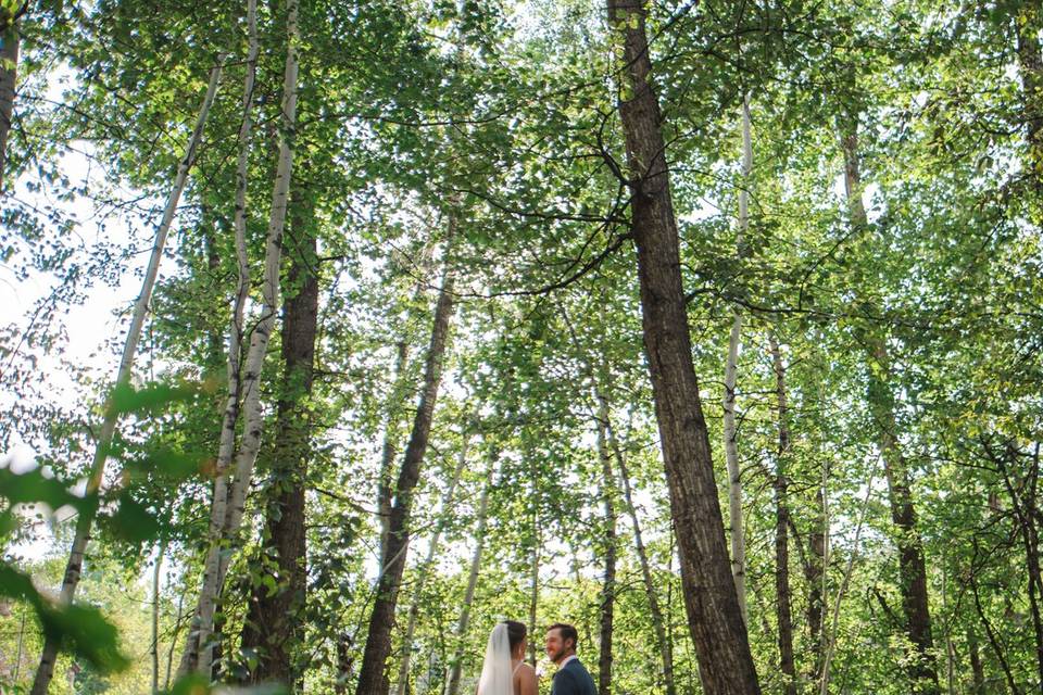 Wedding - Beaver Creek