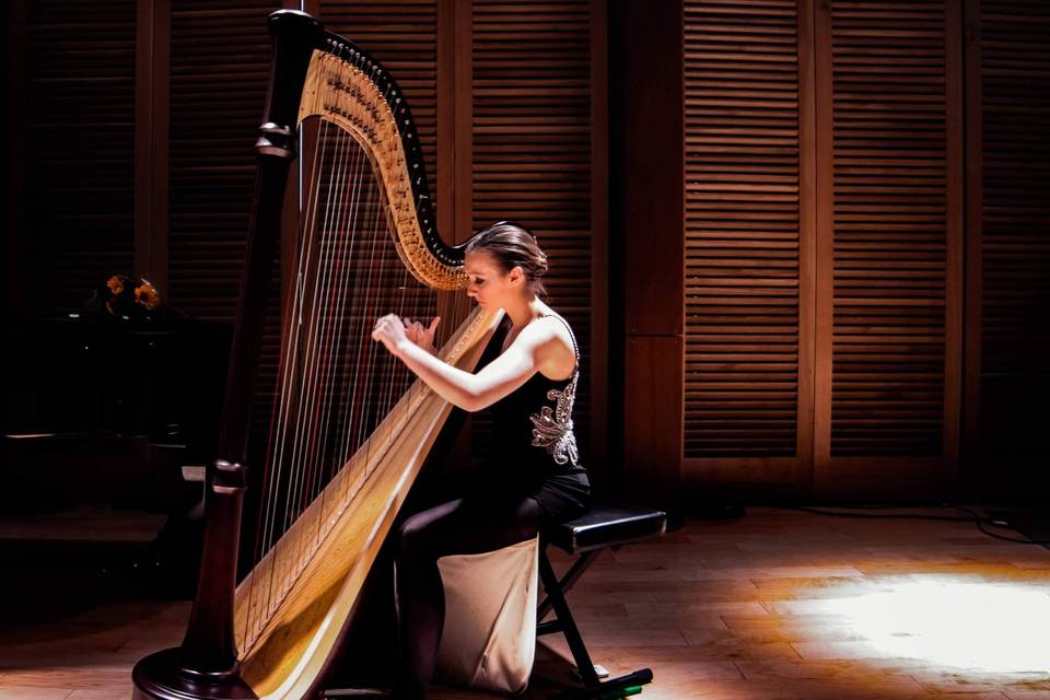 Ashlyn Wrobleski, Professional Harpist