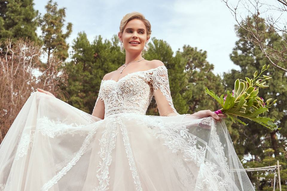 A-line Ball gown with sleeves