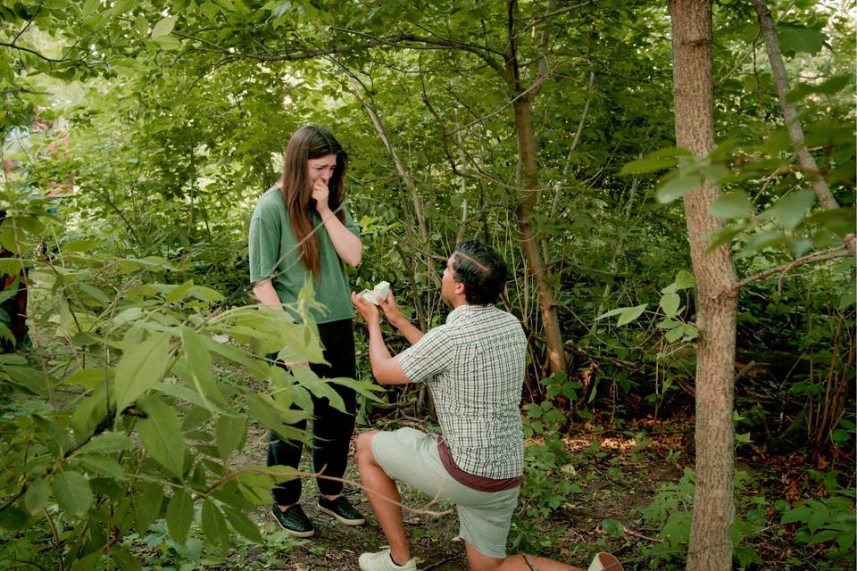 Engagement session