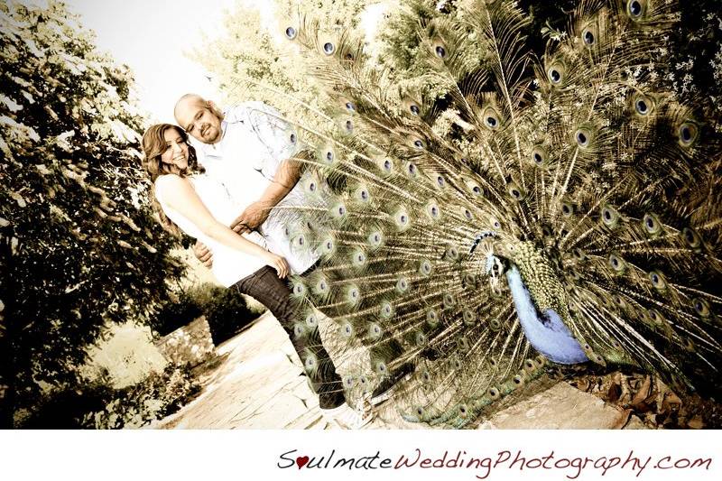 Soulmate Wedding Photography