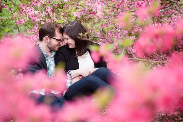 Arnold Arboretum Engagement
