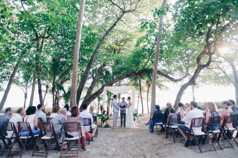 Ceremony under the canopy