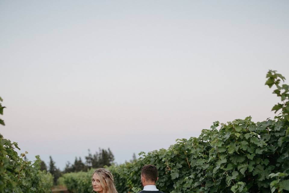 Wedding in a Vineyard